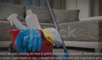 How to Remove Dog Urine from Vinyl Flooring