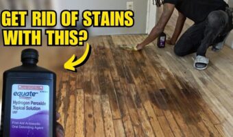 How to Eliminate Dog Pee Stains on Hardwood Floors