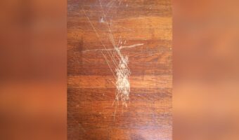 Remove Scratches Hardwood Floor