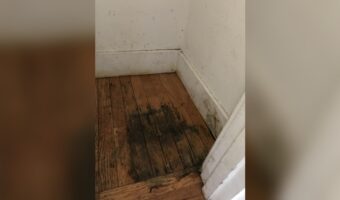 How to Remove Mold from Wood Floors